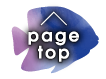 PAGE TOP