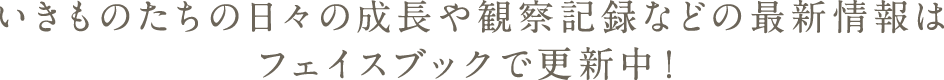 いきものたちの日々の成長や観察記録などの最新情報はフェイスブックで更新中！
