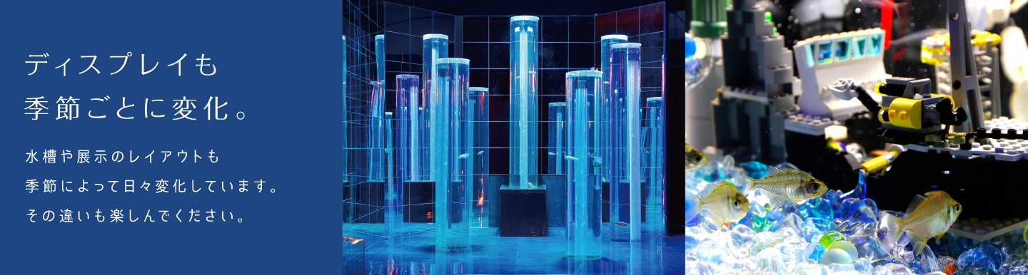 ディスプレイも季節ごとに変化