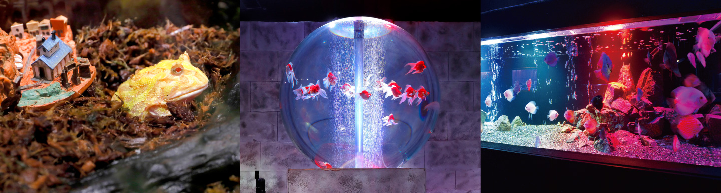 ディスプレイも季節ごとに変化