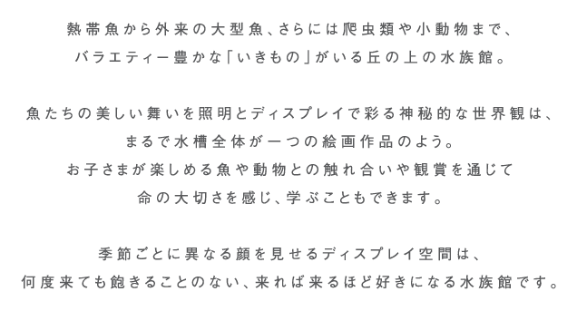 丘の上で奏でる「光」と「いきもの」の共演、錦織なす幻想的な空間。
