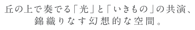 丘の上で奏でる「光」と「いきもの」の共演、錦織なす幻想的な空間。