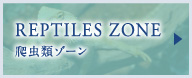 REPTILES ZONE