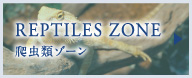 REPTILES ZONE
