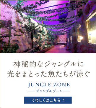神秘的なジャングルに光をまとった魚たちが泳ぐ JUNGLE ZONE -ジャングルゾーン-