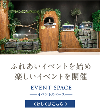 ふれあいイベントを始め楽しいイベントを開催 EVENT SPACE -イベントスペース-