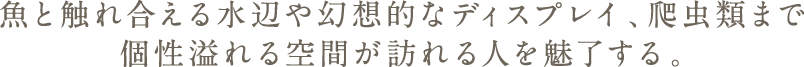 魚と触れ合える水辺や幻想的なディスプレイ、爬虫類まで個性溢れる空間が訪れる人を魅了する。