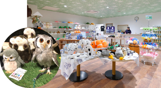 お土産コーナー