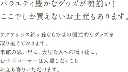 バラエティ豊かなグッズが勢揃い！ここでしか買えないお土産もあります。