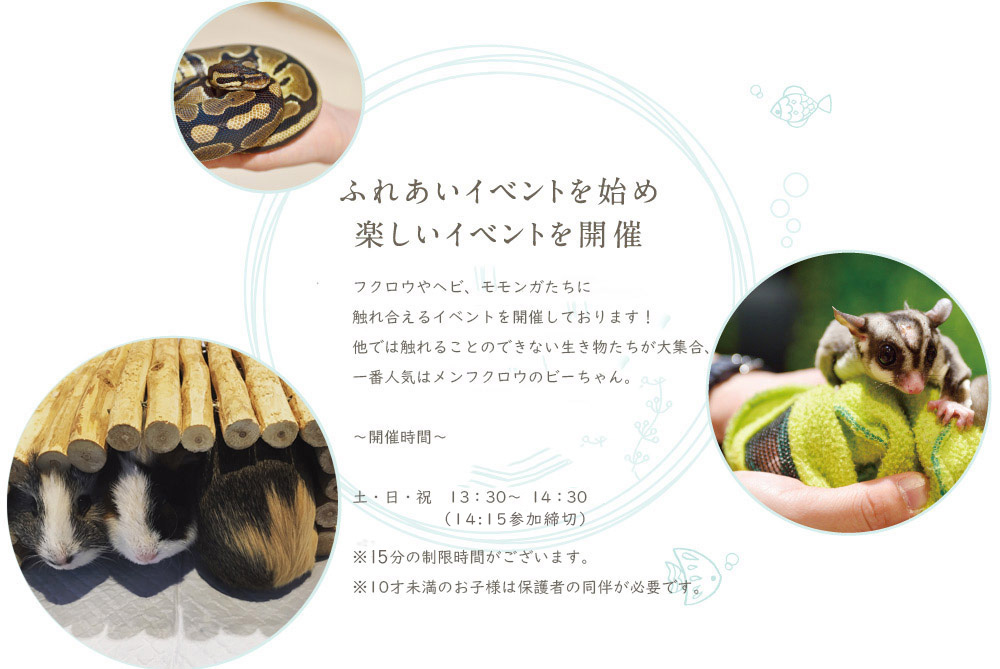 ふれあいイベントを始め楽しいイベントを開催
