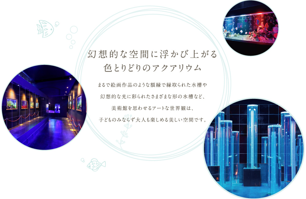 幻想的な空間に浮かび上がる色とりどりのアクアリウム