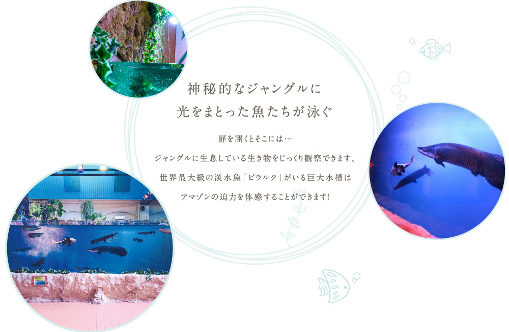 神秘的なジャングルに光をまとった魚たちが泳ぐ