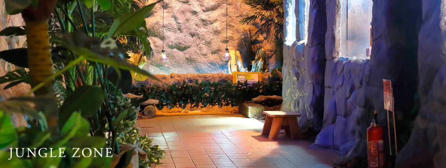 JUNGLE ZONE