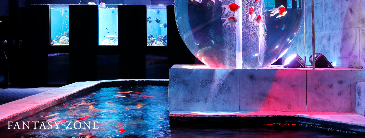 FANTASY ZONE