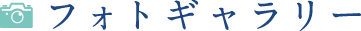 フォトギャラリー