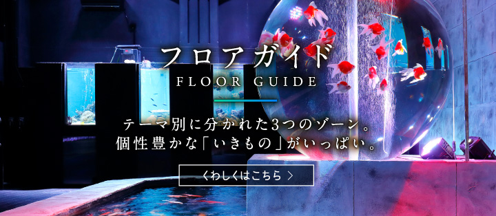 フロアガイド