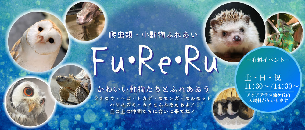 アクアテラス錦ケ丘 爬虫類と小動物にFu・Re・ru